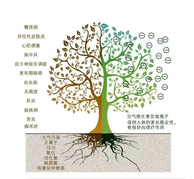 看了这个,你还会一直呆在空调房么?